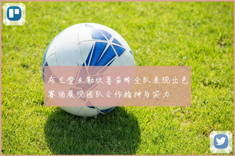 布兰登米勒欣喜黄蜂全队表现出色赛场展现团队合作精神与实力